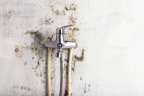 Best Water Damage Restoration  in Mcgregor, TX