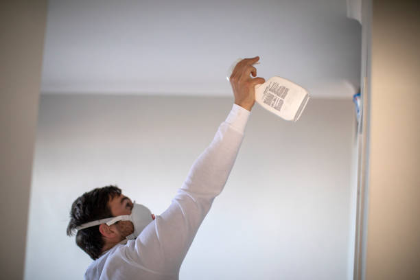 Best Emergency Mold Removal  in Mcgregor, TX