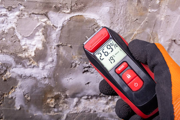 Best Mold Removal and Inspection  in Mcgregor, TX