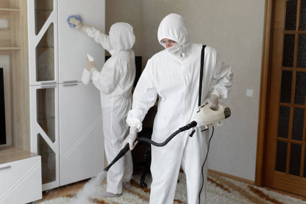 Best Mold Cleaning Services  in Mcgregor, TX