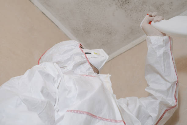 Best Best Mold Removal Companies  in Mcgregor, TX