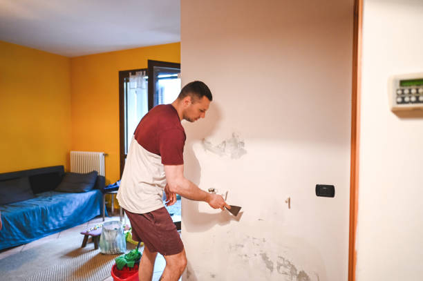 Best Office Mold Removal Services  in Mcgregor, TX
